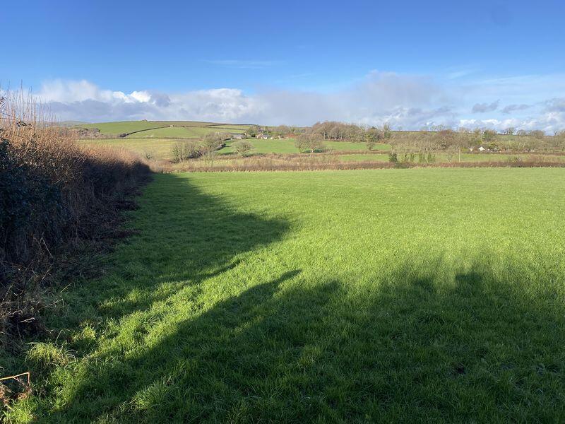 Lot 2 - 11.72 acres at Christone Cross, Totnes - View 5