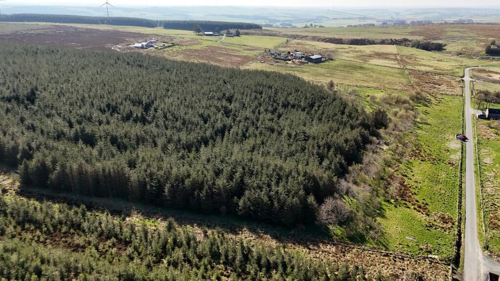 Additional image 14 of Lot 1 Woodland at Broadmuir, Hill of Fisherie, Turriff, AB53 5QL