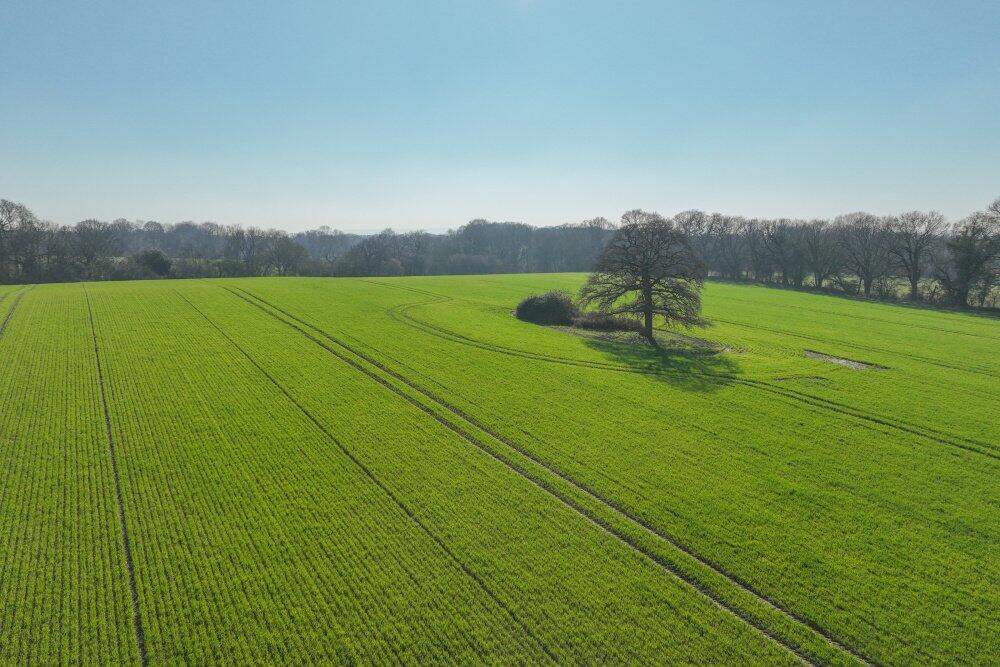 Main image of property: Brighton Road, Monks Gate, Horsham, West Sussex