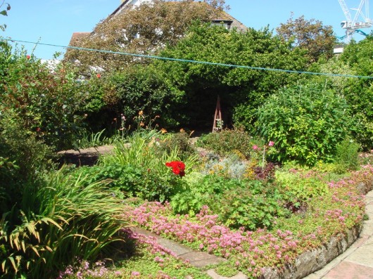Photo of the property