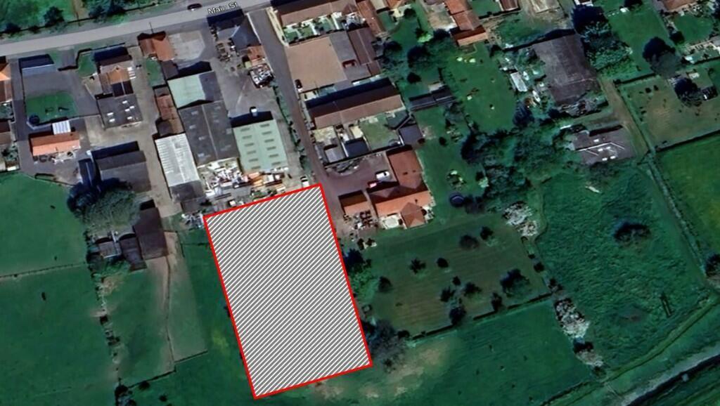The Site