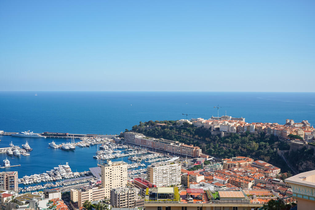 Main image of property: Monaco