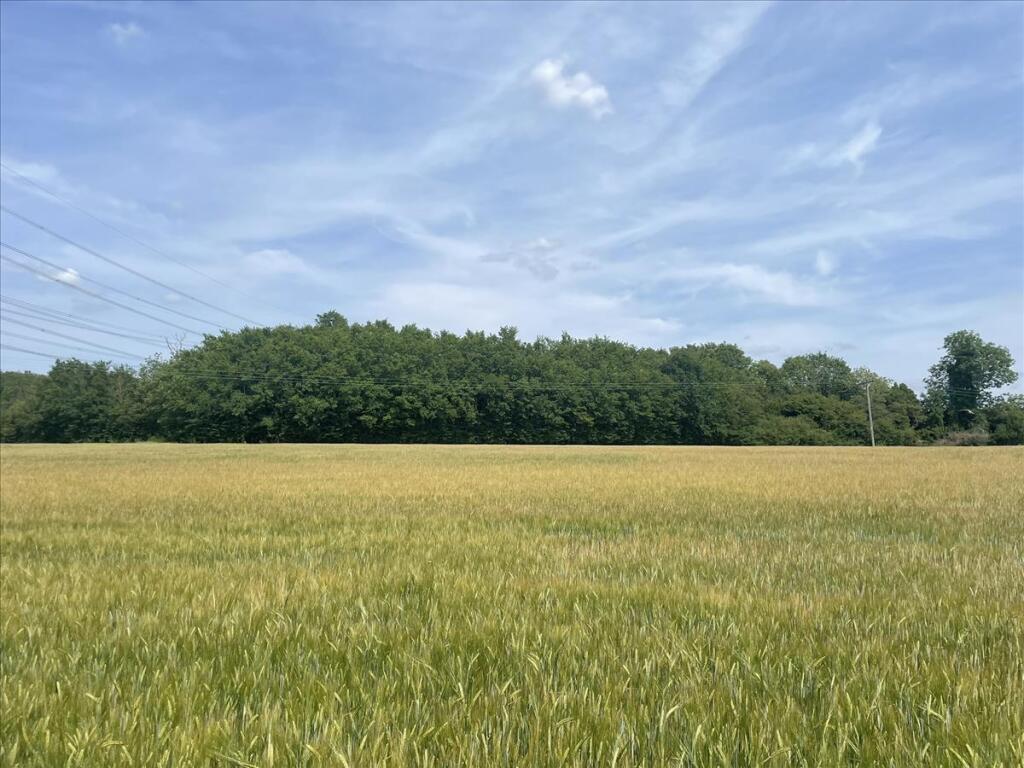 Paper Mill Lane, Bramford, Ipswich, IP8 - View 3