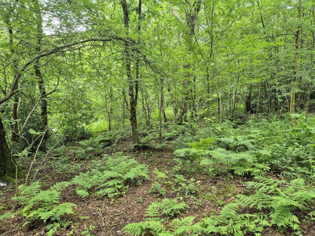 Main image of property: Black Bank Wood, Coley Hole, Ipstones