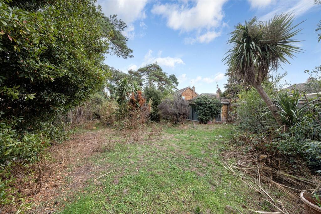House in Twickenham - More