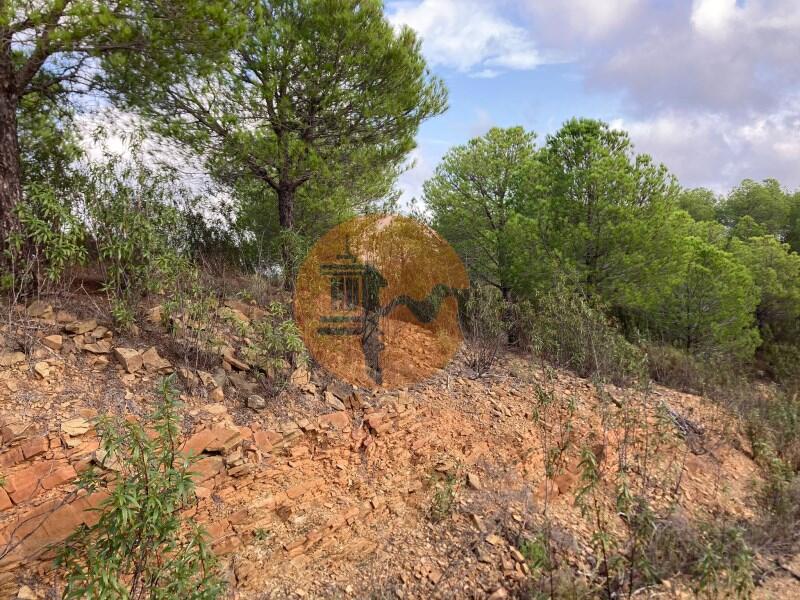 Main image of property: Algarve, Azinhal
