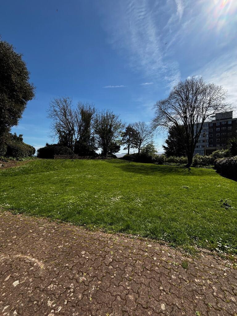 Front Lawn Area 