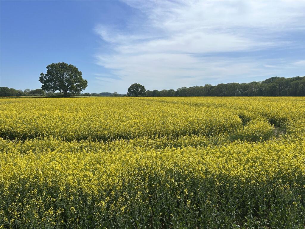 Main image of property: Ilminster, Somerset, TA19