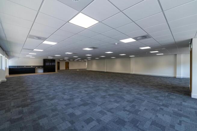 Eighty_Newmark_Tun200_20260619_0083.jpg