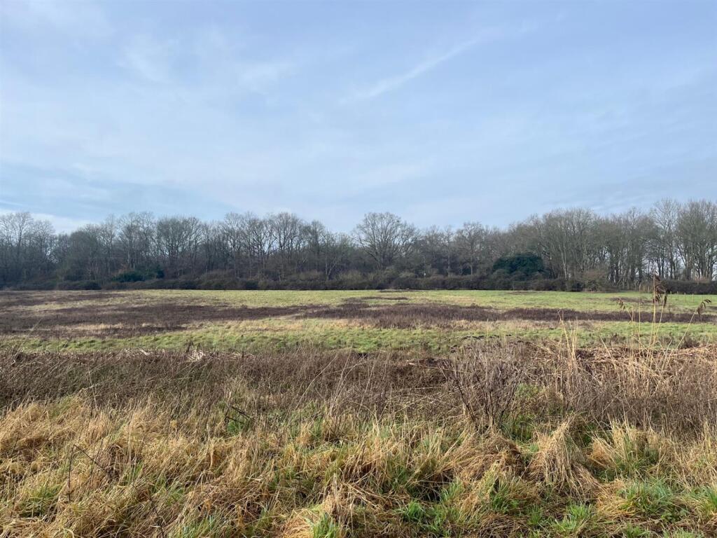4.75ac of Land Off The Street, Flixton - View 4