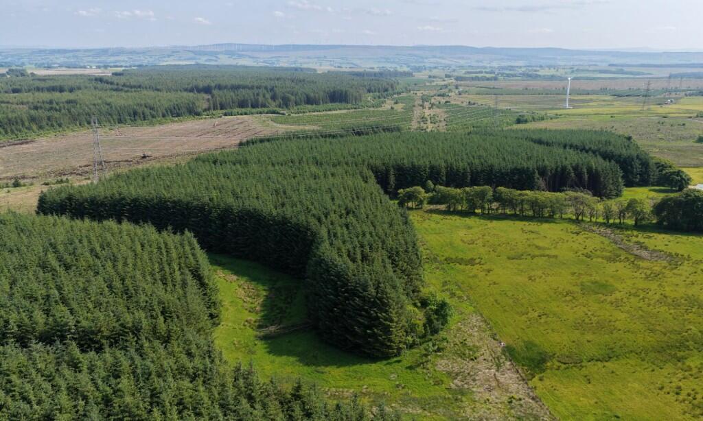 Main image of property: Ardochrig Wood, S.Lanarkshire G75
