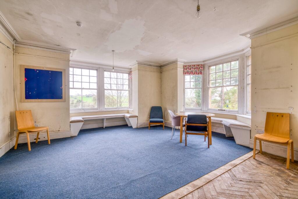 Additional image 7 of Bruton