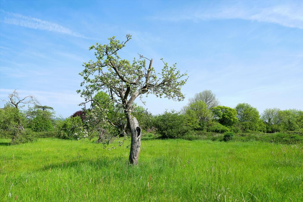 Additional image 33 of Preywater Road, Wookey, Wells, BA5