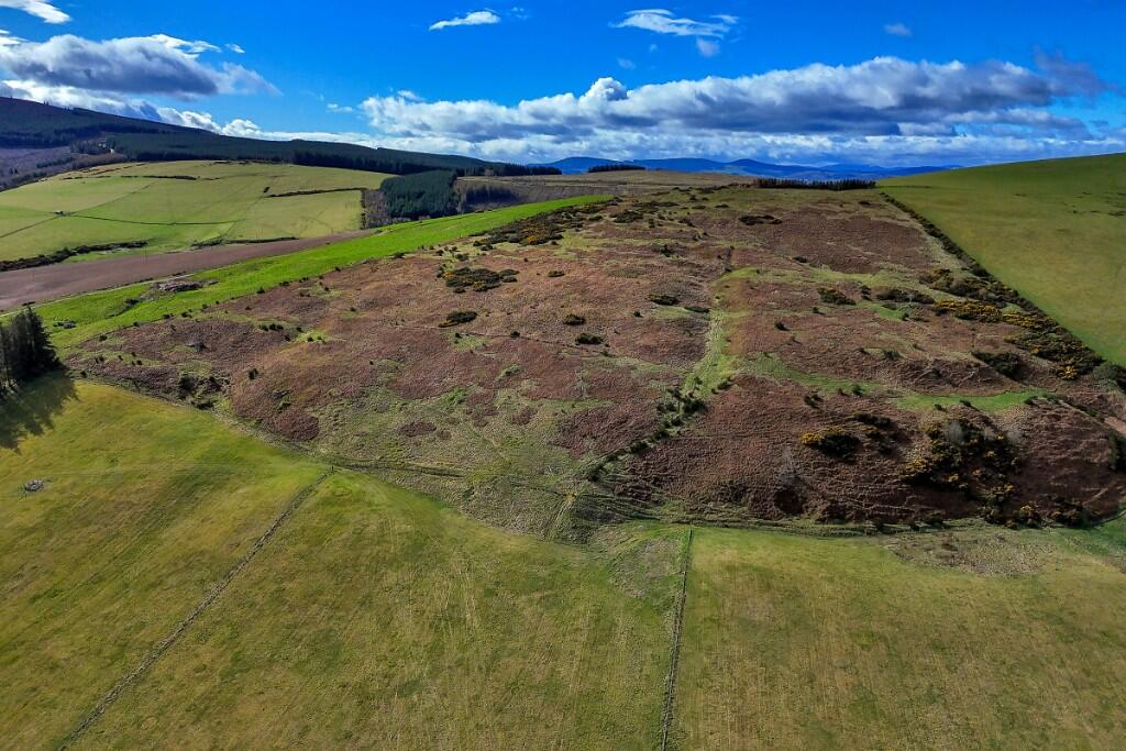 Additional image 6 of Land at Westside of Edingarioch, Premnay, AB52 6PL