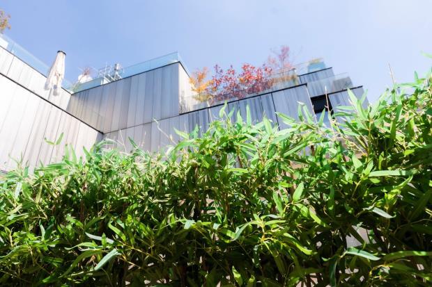 Main image of property: Neutorgasse 7, Vienna