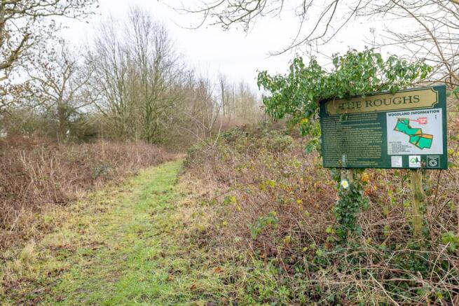 Woodland to the South of Main St Swepstone