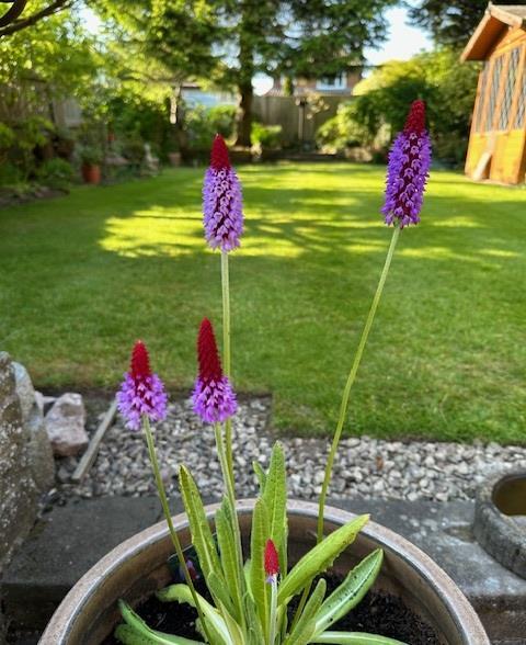 Additional image 25 of Dwellings Lane, Quinton, Birmingham