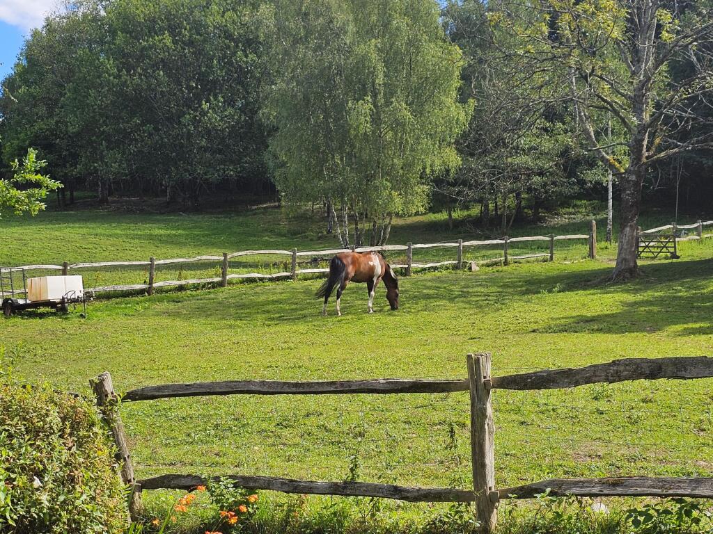Cottage with 8 Acres, East Grinstead photo 4