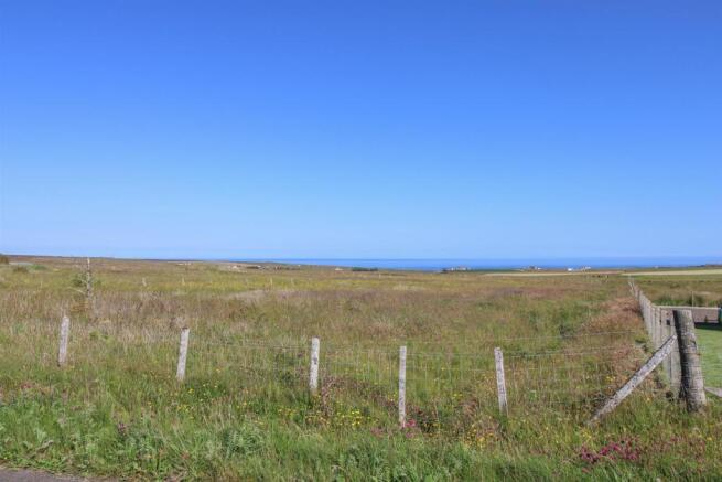 VIEW.jpg
