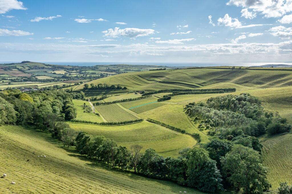 Main image of property: Litton Cheney, Dorchester, Dorset