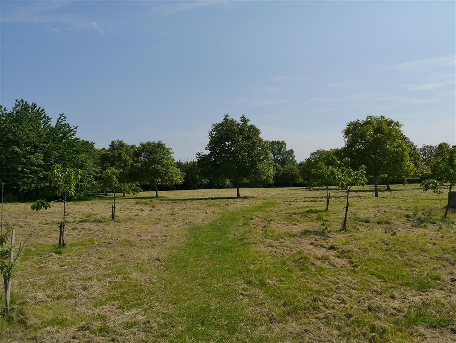 Property photo 9
