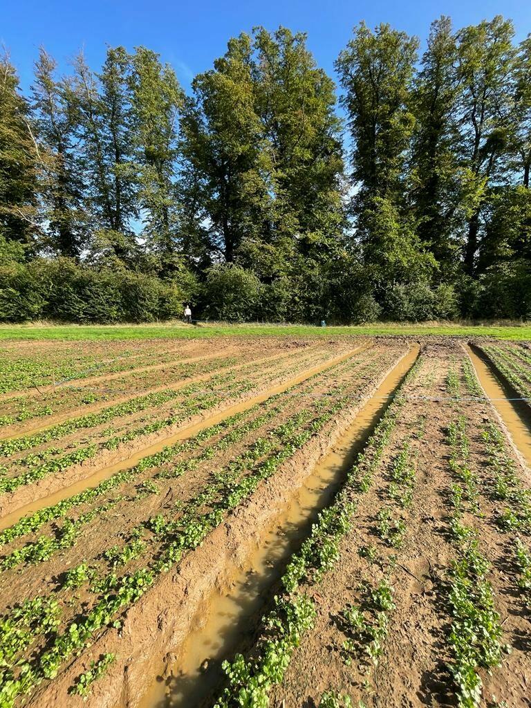 Main image of property: Huntercombe Lane South, Slough, Berkshire, SL6