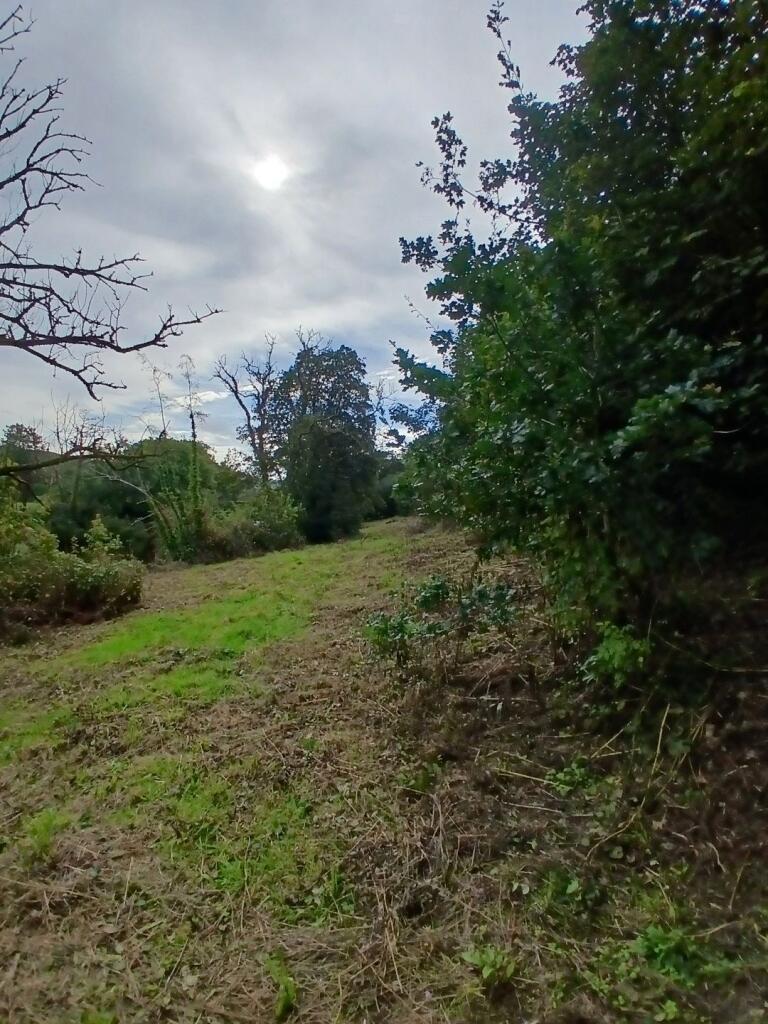 Abercych, Boncath, SA37 - View 4