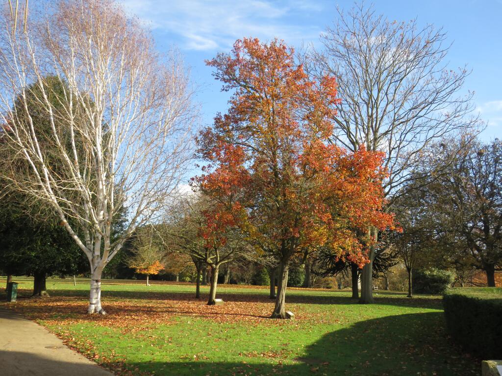 Property photo 10