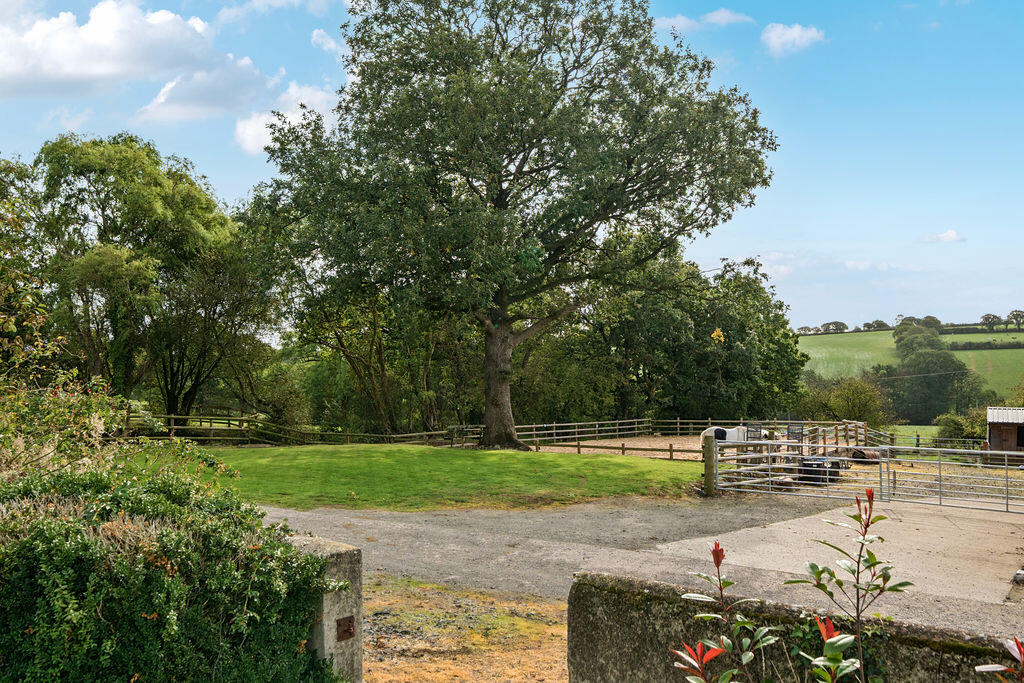 Bondleigh, North Tawton photo 3