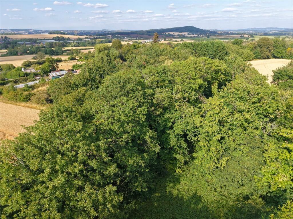 Bartestree, Hereford, Herefordshire, HR1 - View 5