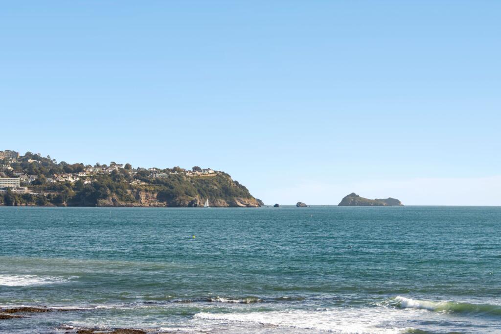 House in Torquay - View 4