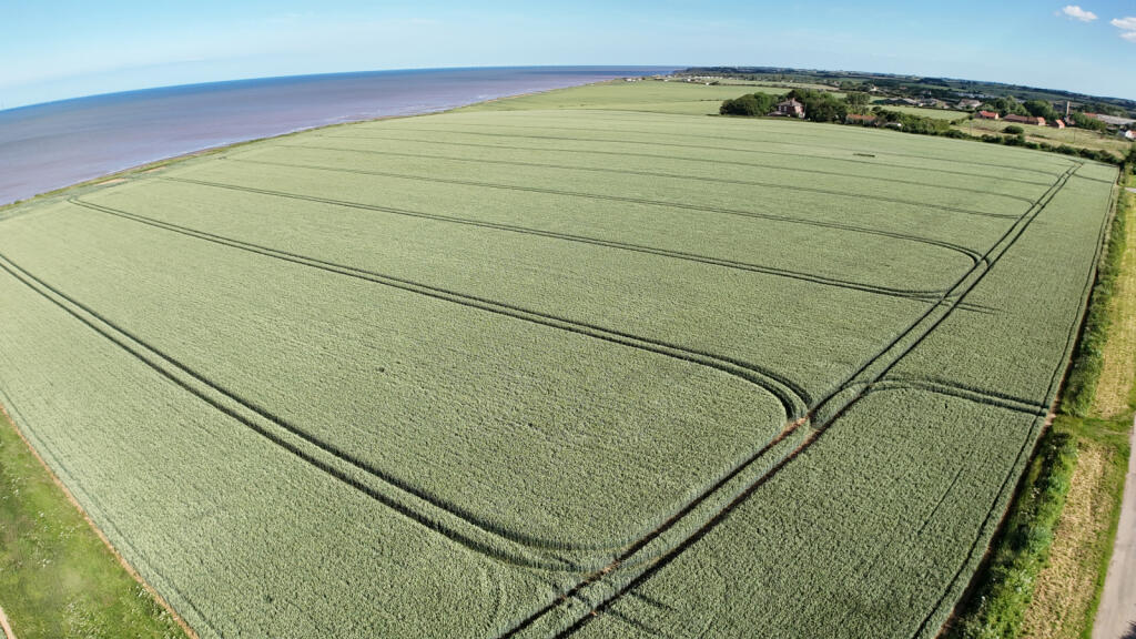 Main image of property: c.32.02 acres East of Pasture Lane, Tunstall, East Riding of Yorkshire, HU12 0JD