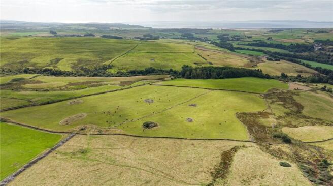 Farmland
