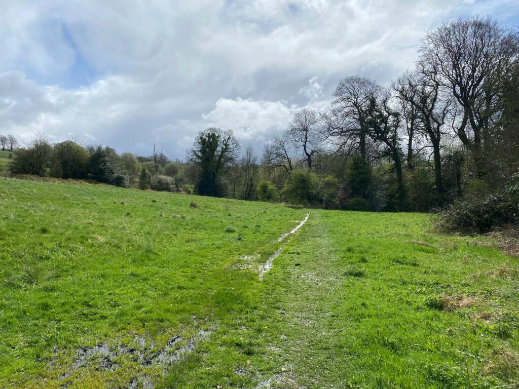 Farm land for sale in Red Lane, Colne, Barrowford, BB8 - Widok 3