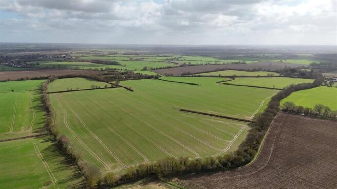 DJI_20260311105028_0087_D.JPG