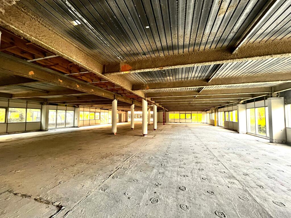 IMG_8870.jpg