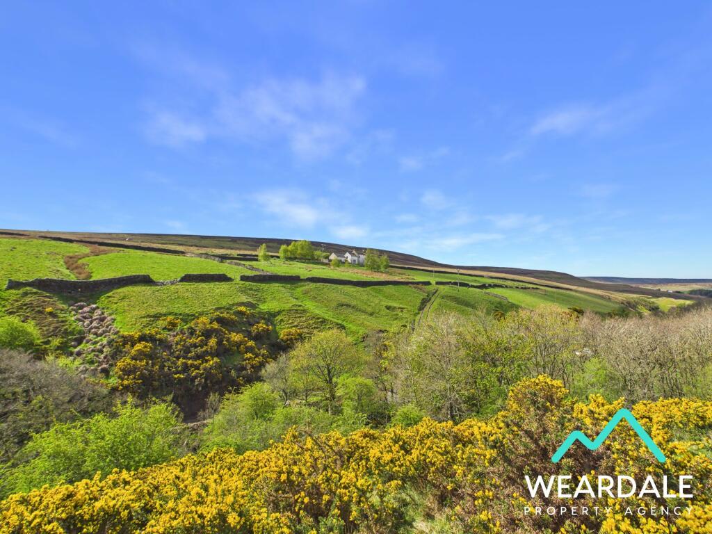 Main image of property: Low Bollihope, Near Frosterley, DL13