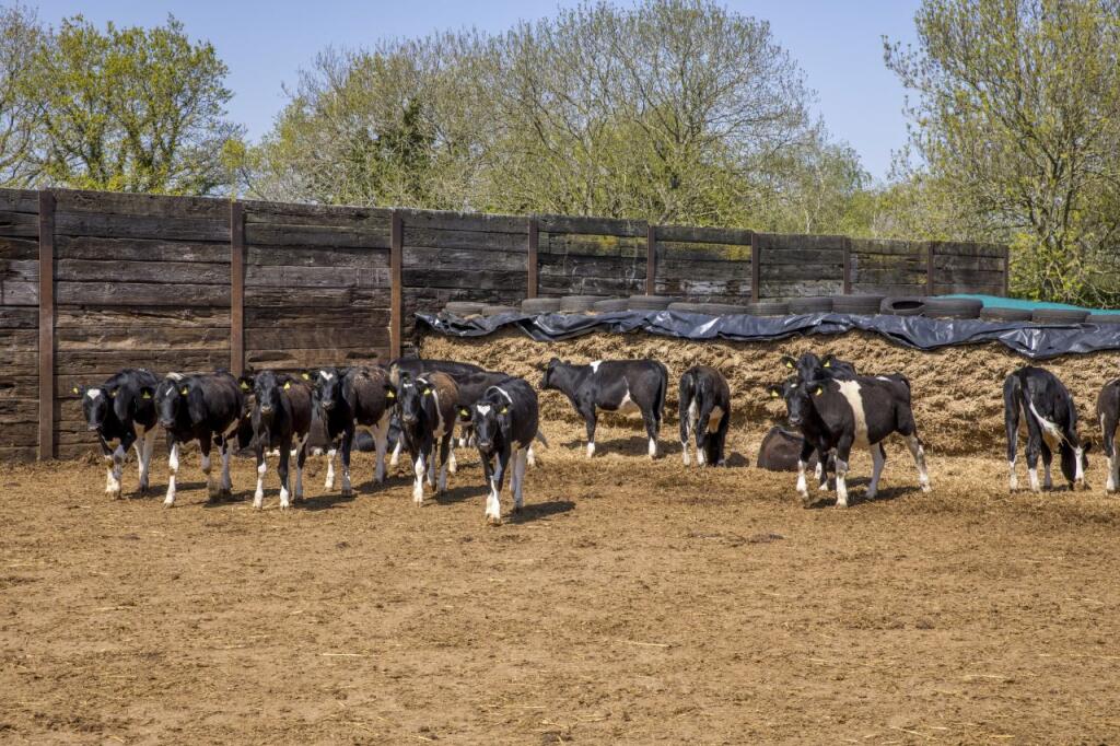 Highlands Farm