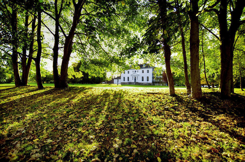 Grounds