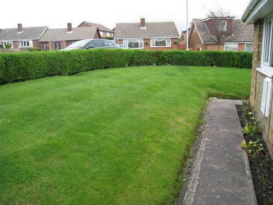 Photo of the property