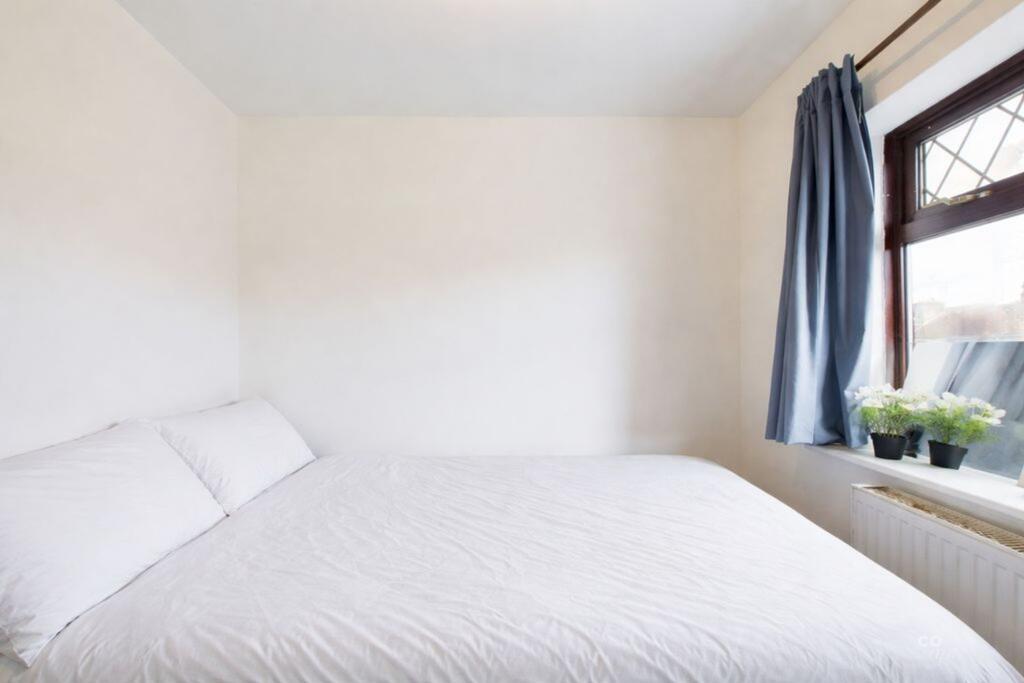 1 bedroom semi-detached house for rent
