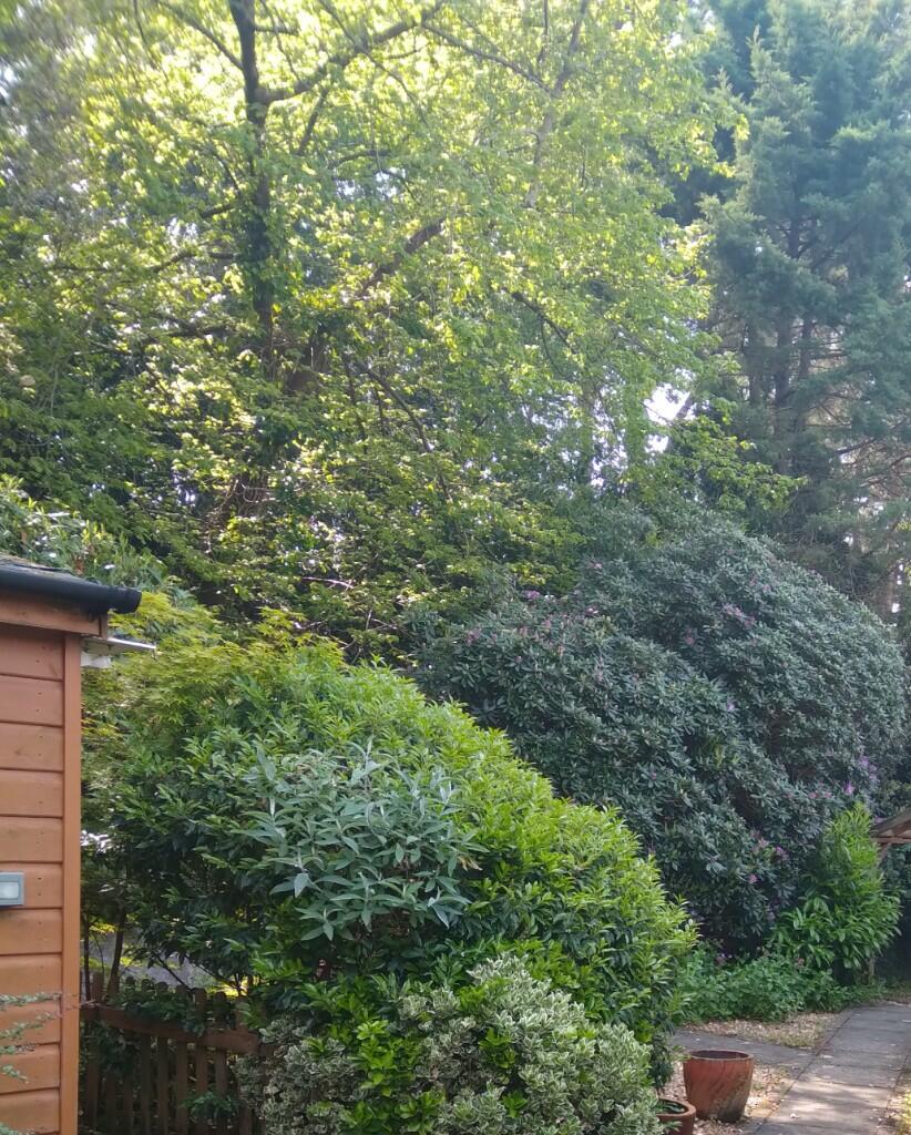 Additional image 17 of Lagado Close, Poole, Dorset, BH14