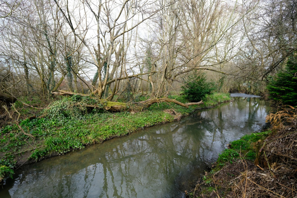 Photo of the property