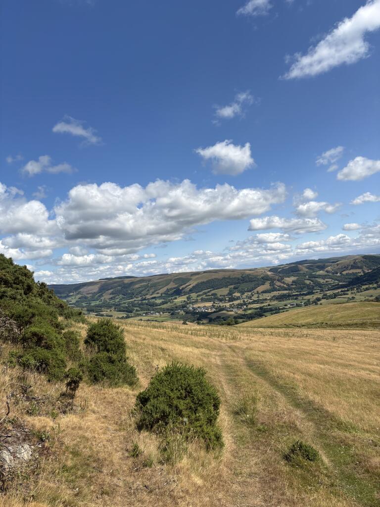 Land at Tycanol Farm, Tafolwern, Llanbrynmair, Powys - More