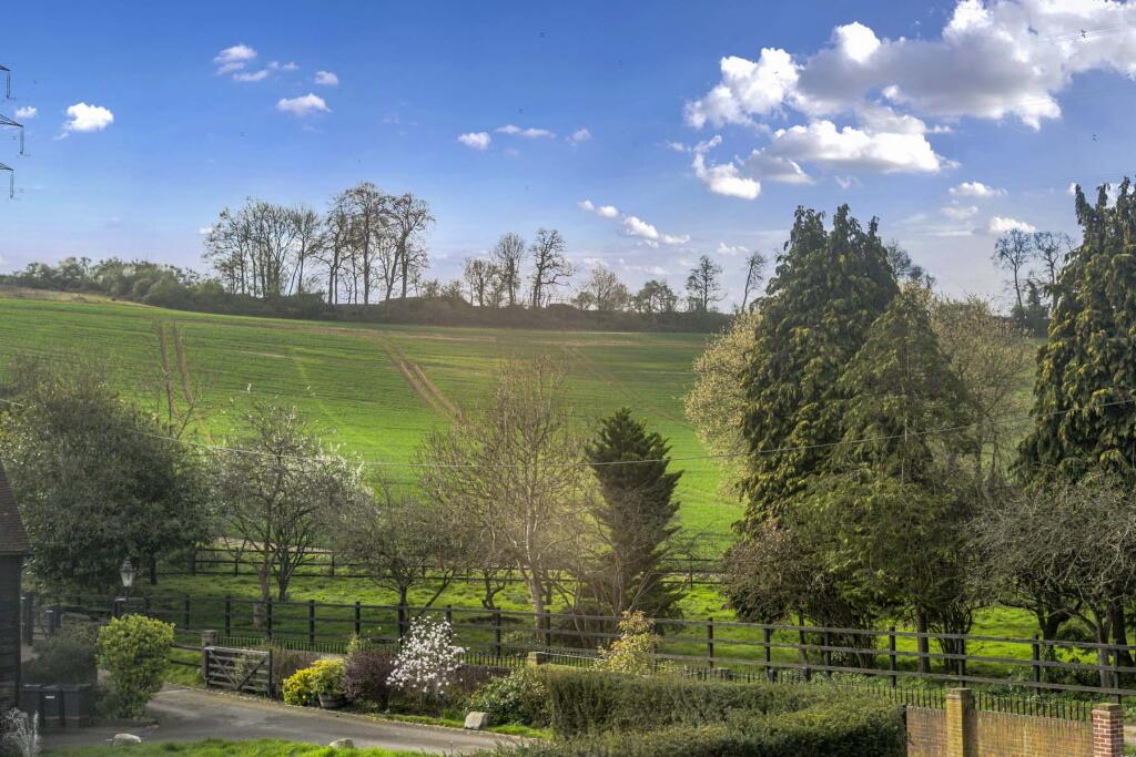Wood Farm Stables, Stichens Green - More