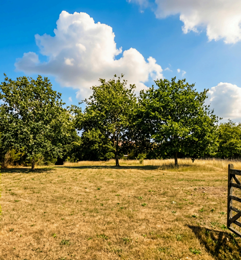 Main image of property: Kingston Bagpuize OX13