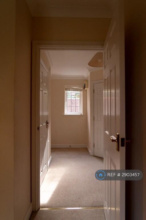 Talbot Avenue, Bournemouth, BH3 photo 5