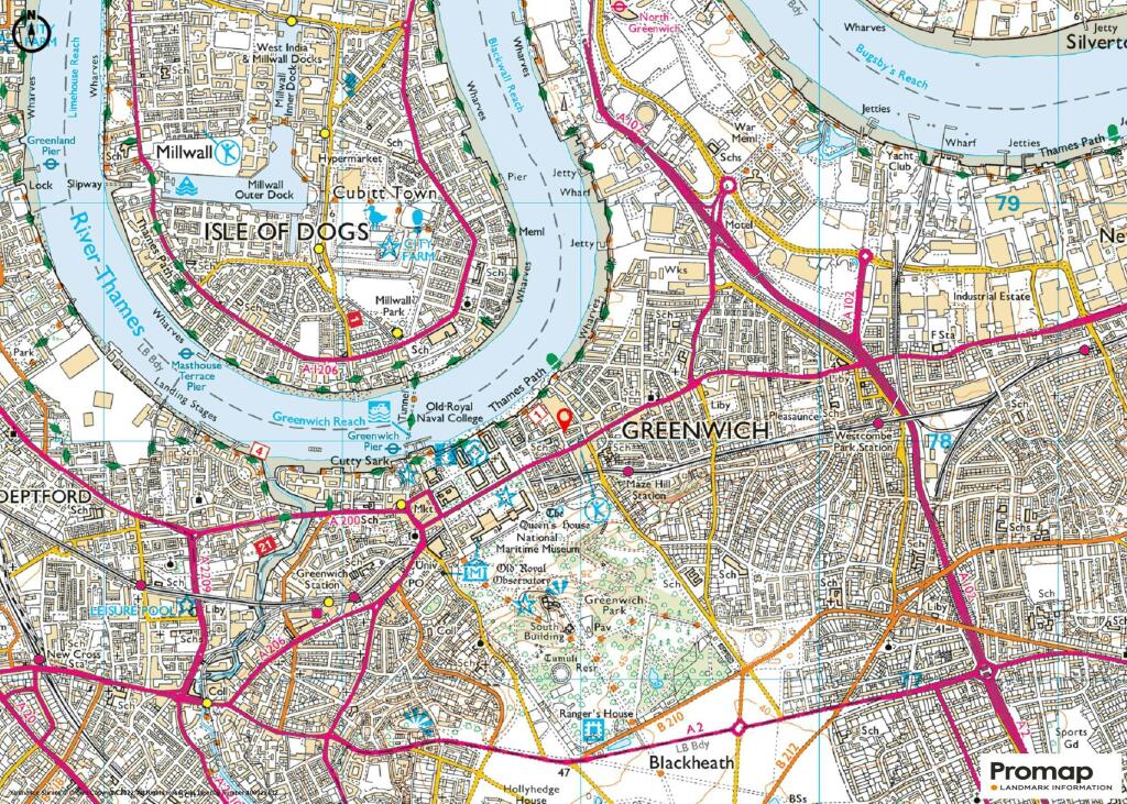 Star  Garter 125k.jpg