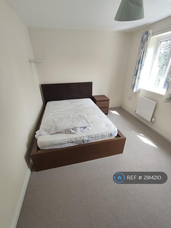 1 bedroom house share for rent