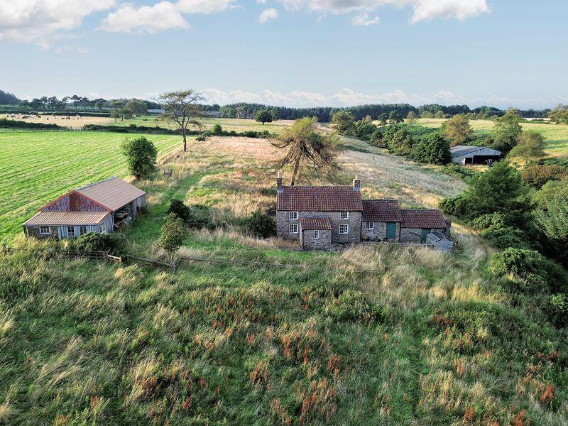 Stape, Pickering - More